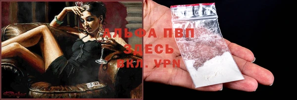apvp Коряжма