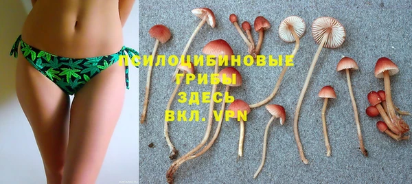 apvp Коряжма