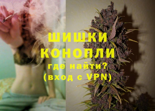 стафф Корсаков