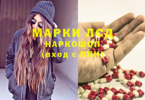 стафф Корсаков